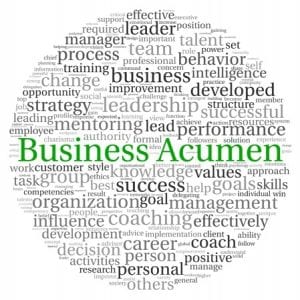 13764430 - business acumen concept in word tag cloud on white background